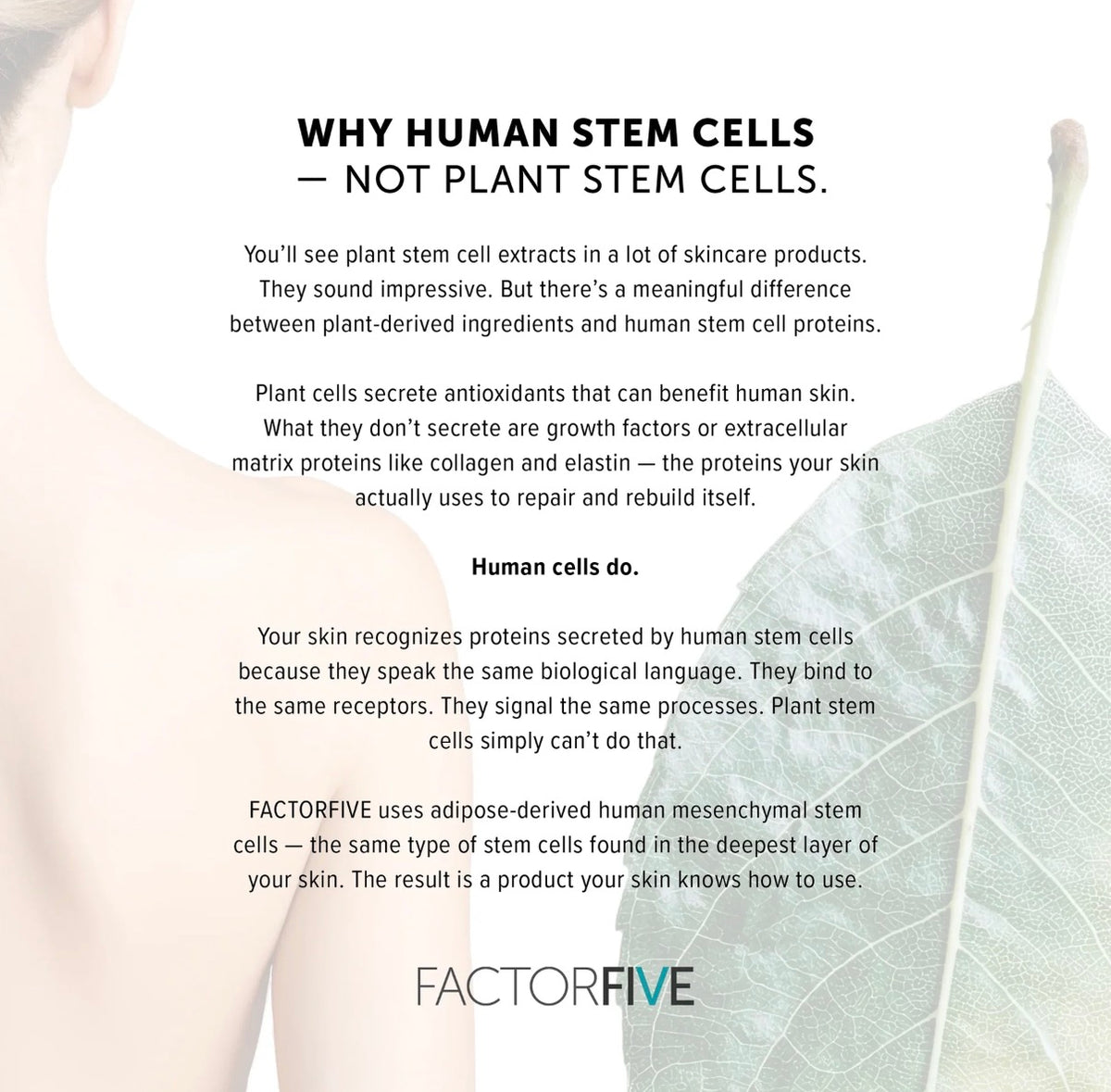 FactorFive Stemcell Shampoo